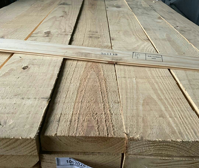 大观阿根廷松木